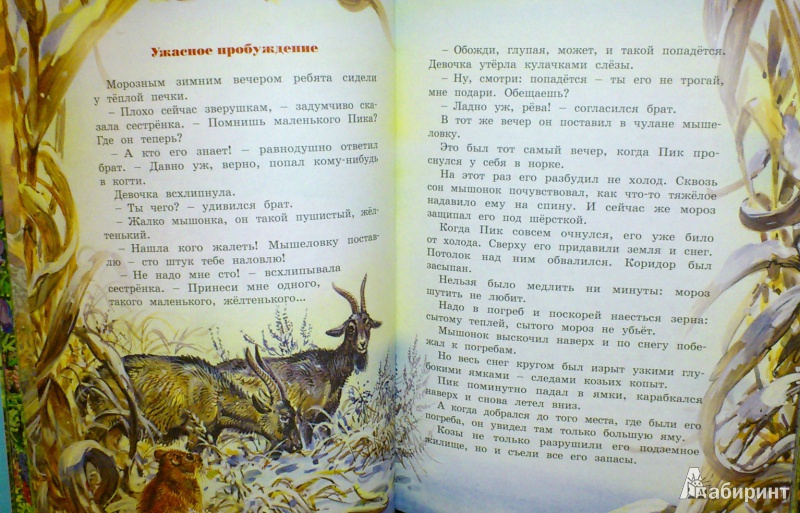 Книга «Большая книга рассказов» Виталия Бианки - отзывы