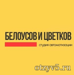 Студия автоматизации Белоусова и Цветкова отзывы про Сервисы