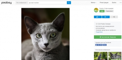 Сайт pixabay.com отзывы про Сервисы